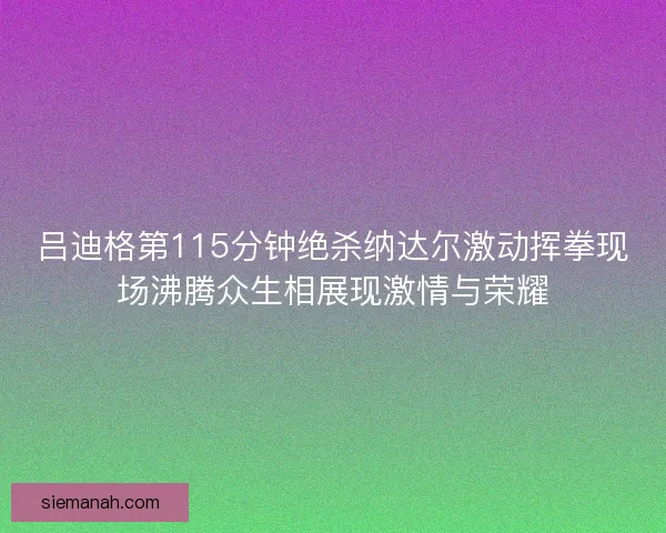 吕迪格第115分钟绝杀纳达尔激动挥拳现场沸腾众生相展现激情与荣耀